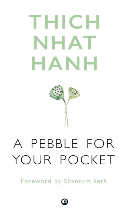 A PEBBLE FOR YOUR POCKET